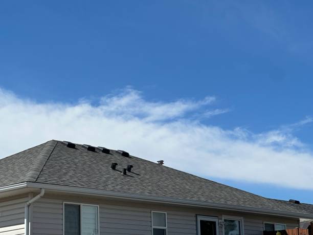 Best Metal Roofing Installation  in Woodland Heights, PA